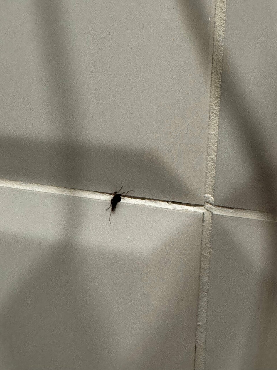 Гостиница Талисман Санкт-Петербург-109