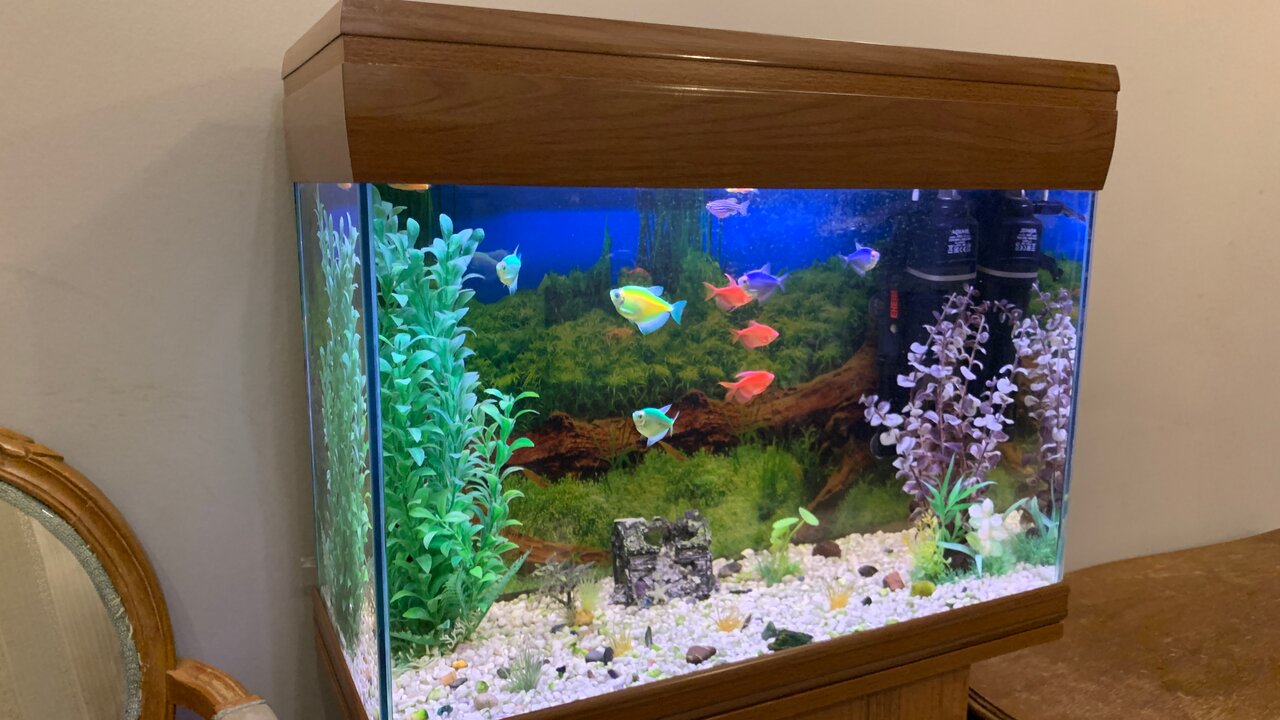 Гостиница Талисман Санкт-Петербург-43