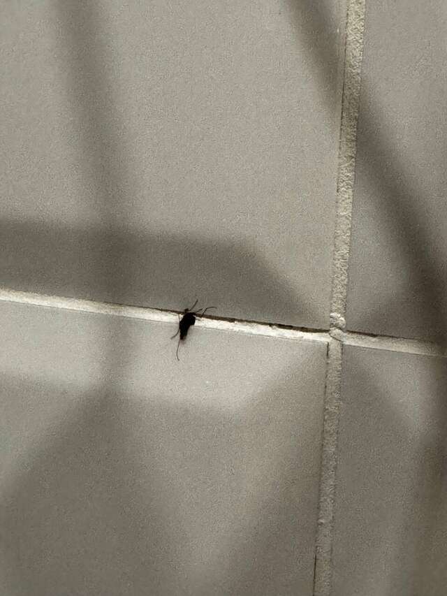 Гостиница Талисман Санкт-Петербург-108